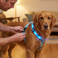 🐶 50% RABATT 💡 Justerbar blinkande LED-hundsele, säkerhetsbelysning för kvällspromenader🦺