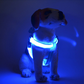 🐶 50% RABATT 💡 Justerbar blinkande LED-hundsele, säkerhetsbelysning för kvällspromenader🦺