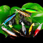 🔥Köp 1 få 1 gratis！✨Propeller Floating Rotating Tail Lure – Catch More Trophy Fish! ✨