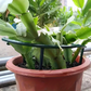 Sammankopplingsbara växtstöd – modulära ringar för hängande blommor & slokande stjälkar 🌱🔄