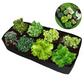 🌱 50% RABATT NU! 🌿 Delade Tyggrowpåsar – Andningsbara, 8 Grid Layout & UV-beständig – Friskare Rötter, Bättre Dränering 🌞