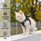 🐱🐶 50% RABATT HALVT PRIS💨🔥Reflekterande Mesh-sele och Koppelset för Katter & Små Hundar 🐾