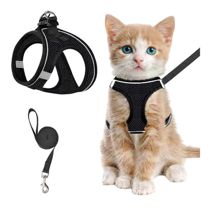 🐱🐶 50% RABATT HALVT PRIS💨🔥Reflekterande Mesh-sele och Koppelset för Katter & Små Hundar 🐾
