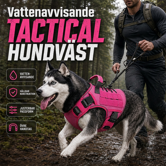 🐶50% RABATT⏰Hundsele i slitstarkt Oxfordtyg, bekväm för promenader