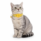 🐾 50% RABATT! ✨ Reflexhalsband för Katt med Vattentät Hållare för Smart GPS-Tracker & Säkerhetsspänne 📍