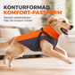 🐕50% RABATT🧥Reflekterande vadderad hundvinterjacka med koppelfäste för kyla och mörker❄️